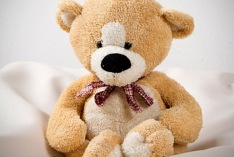 Teddy Bear Day 2026